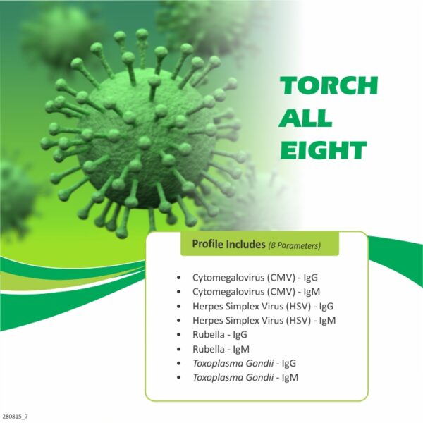 TORCH ALL EIGHT