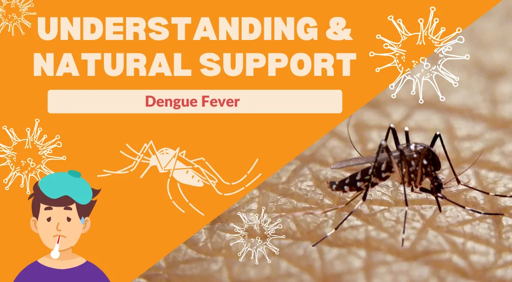 Boost your platelet count naturally if you have dengue fever.